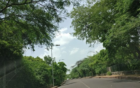 Rajpur Road