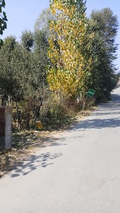 Aharbal Manzgam Road
