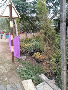 Champa - Birra Road