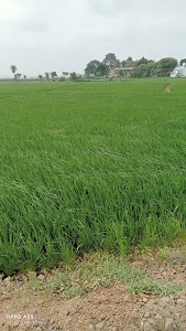 Goharganj - Bhojpur Road