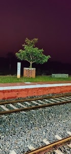 Nonihat - Basukinath Road