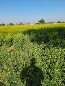 Alwar-Tijara Road