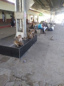 Kalpi Railway Station Road