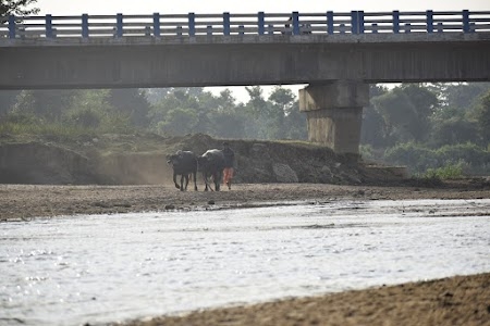Baghmundi - Purulia Road