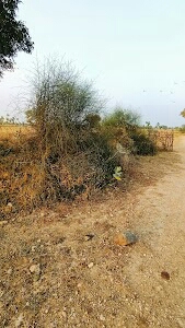 Chandiyawas to Gegal Road