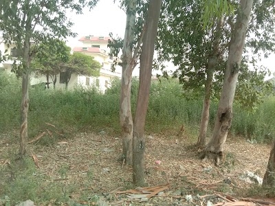 Haridwar Road