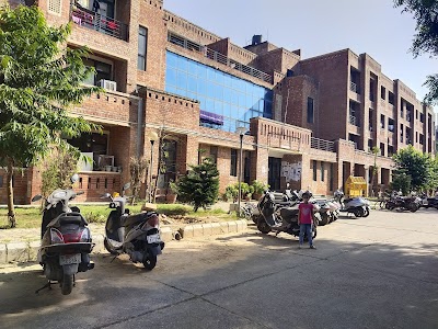JNU Campus Road