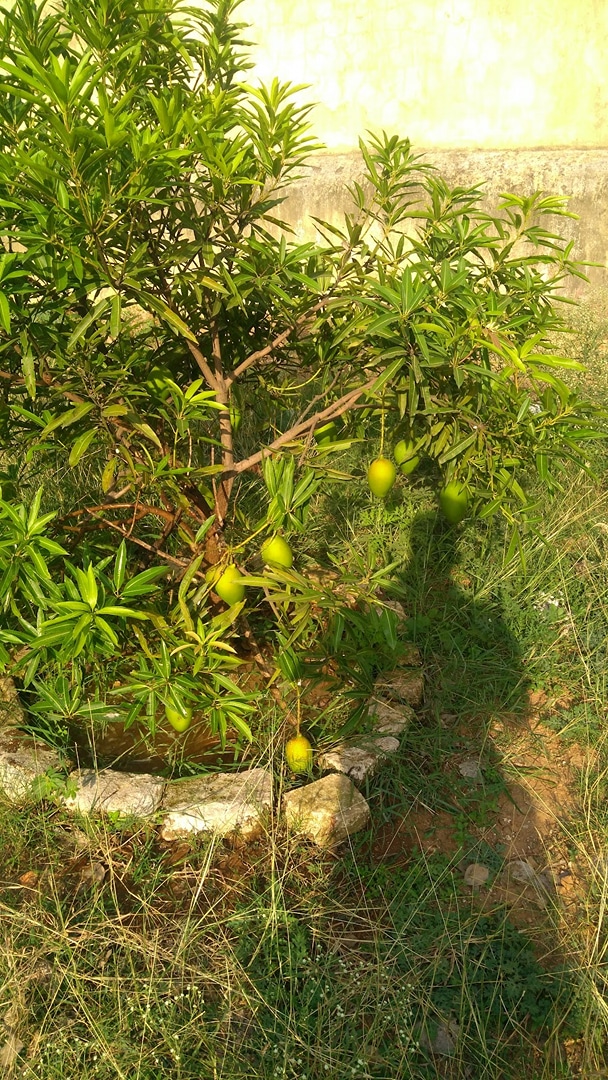 Khunti - Torpa Road