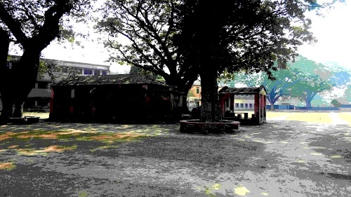 King Edward High School Road