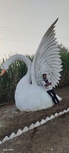 Nashik - Shirdi Road
