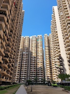 14th Avenue
