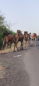 Barmer Road