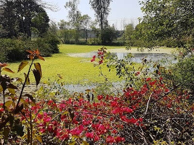 Bugrasi - Chandyana Road