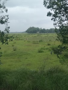 Cuttack - Pansila - Kolaghat Road