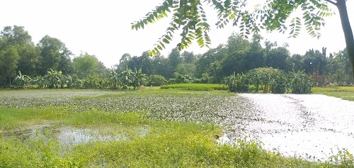 Kalinarayanpur Station Road