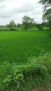 Karjat - Murbad Road