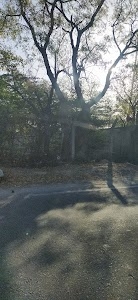 Kot Ise Khan - Moga Road