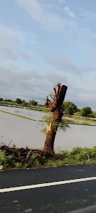 Modhera Road