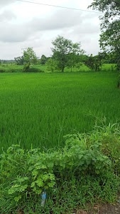 Murbad - Karjat Road