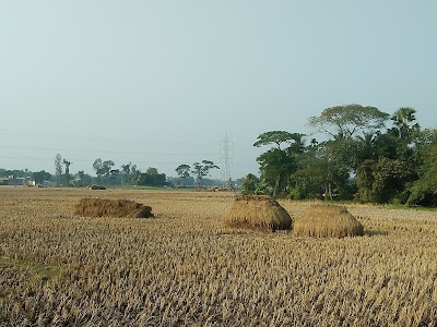 Nonadanga Road