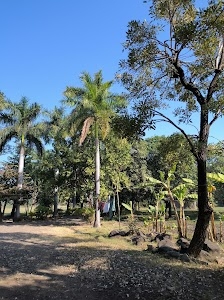 Sehore - Bhopal Road