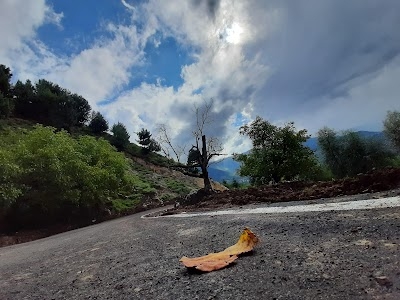 Verinag Anantnag Road