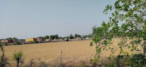 Bathinda Road