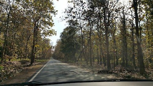 Dhela Road