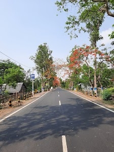Kakdwip Road