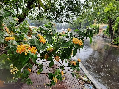 Kolkata Station Road