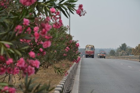 Rimuli - Keonjhar Road