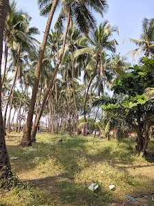 Arnala Beach Road