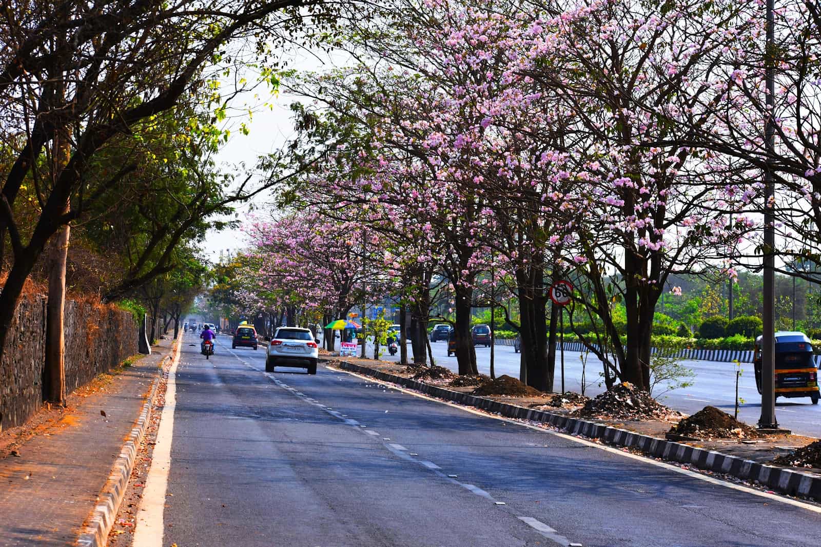 Eastern Express Highway