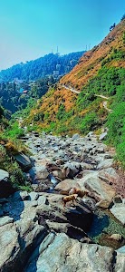 Bhagsu Nag Waterfall Pathway