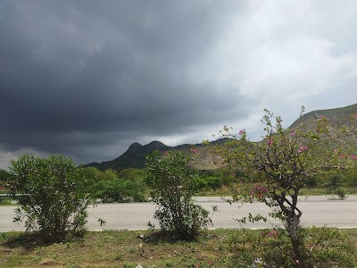 Jaipur - Delhi Expressway