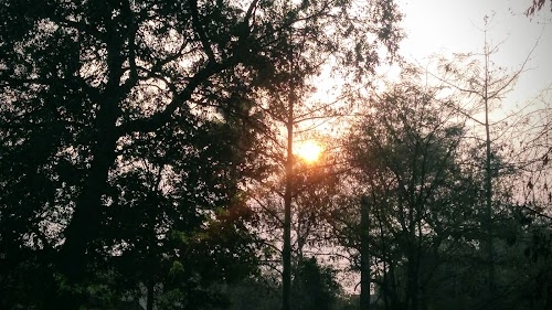 Masaurhi Station Road