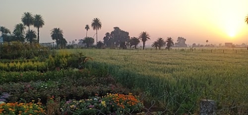 Katara Hills Barrai Road