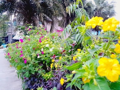 Kulpi Road