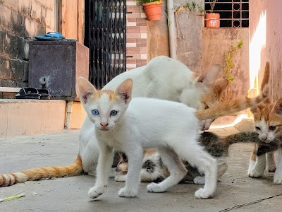 Kurla Station Road