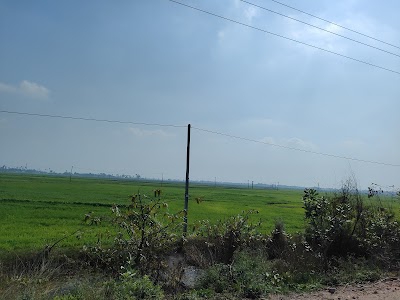 Muzaffarpur - Rewa - Chhapra Road