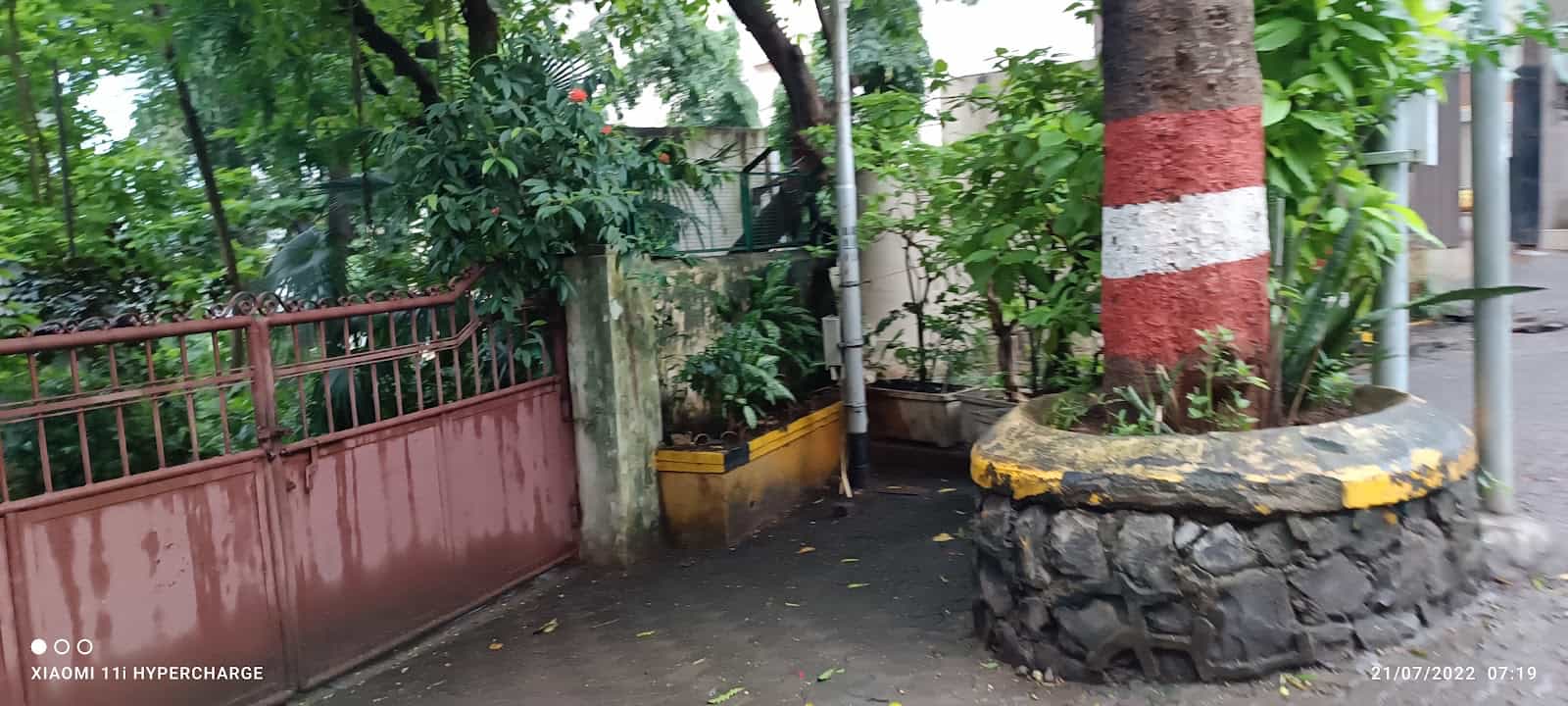 Pali Hill Road