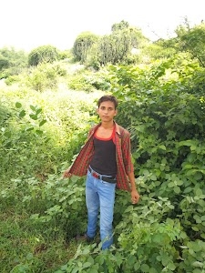 Sikandra - Gangapur City Road