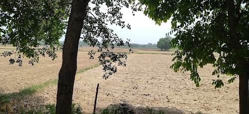Balachaur - Garhshankar Road