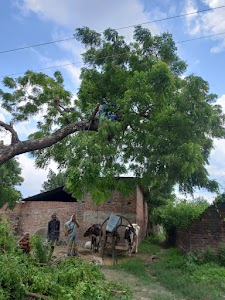 Paraspur - Colonelganj Road