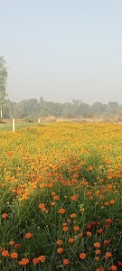 Sultanpur - Lucknow Road