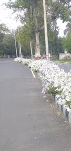 University Road