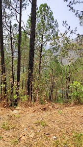 Bareilly - Nainital Road
