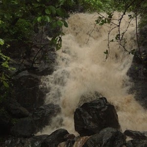 Palghar - Manor Road