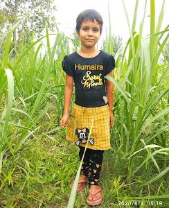 Siwal Khas - Khanpur - Lohadda Road