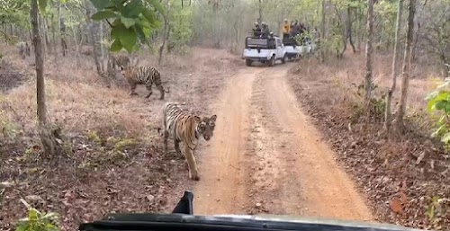 Umred Karhandla Wildlife Sanctuary Road
